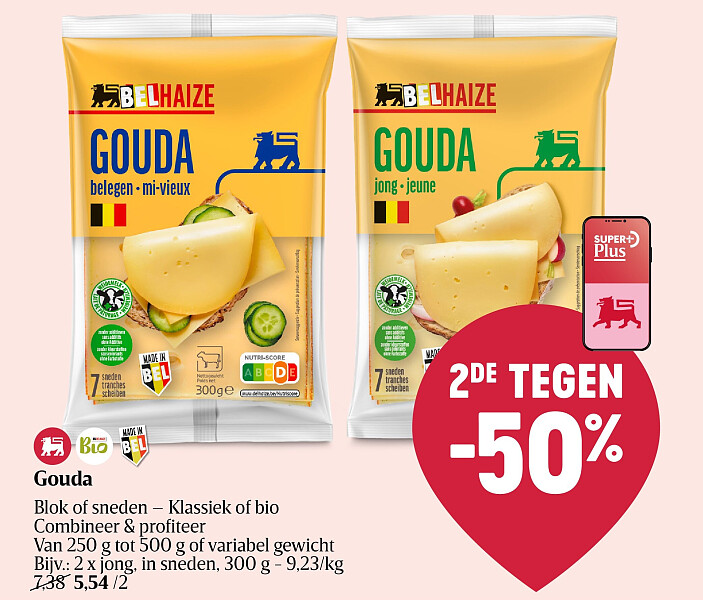 Gouda