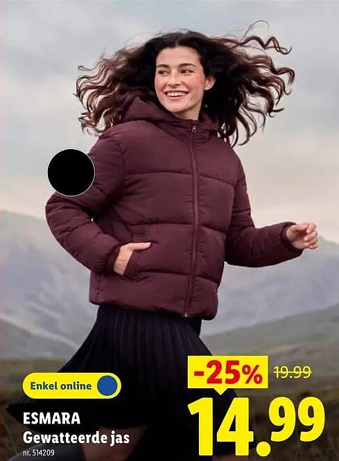 Gewatteerde jas
