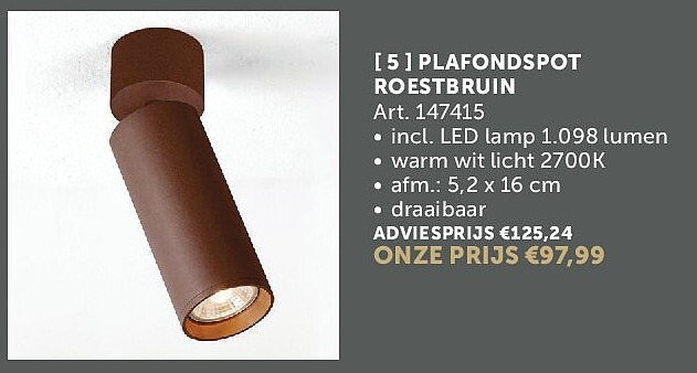 PLAFONDSPOT ROESTBRUIN