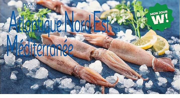 Encornet rouge