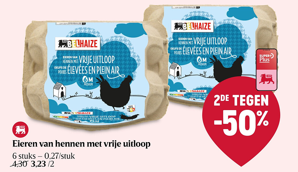 Eieren van hennen met vrije uitloop
