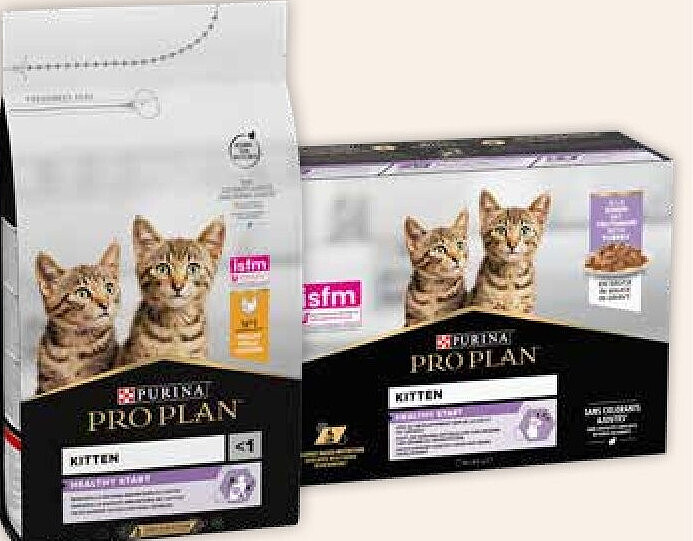 Pro Plan Kitten ou Junior croquettes et nourriture humide pour chat 1,5 kg et 10 x 85 g