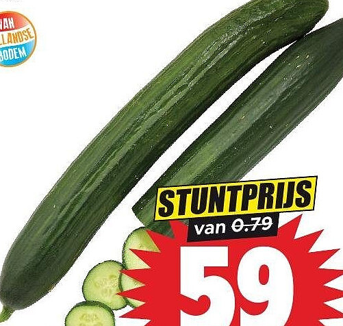 Hollandse komkommer