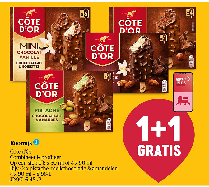 Roomijs