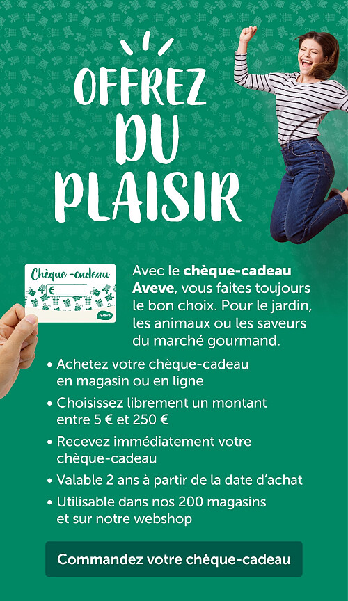 Avec le chèque-cadeau