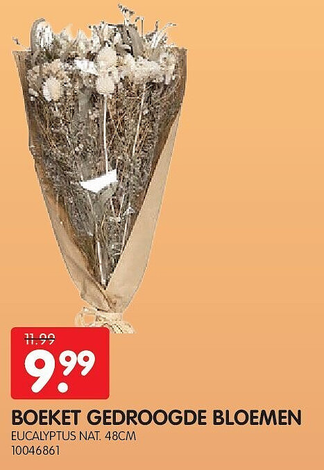 BOEKET GEDROOGDE BLOEMEN