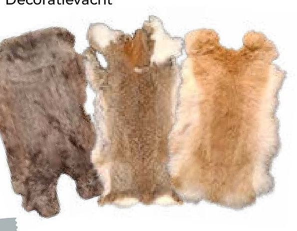 Decoratieve vacht