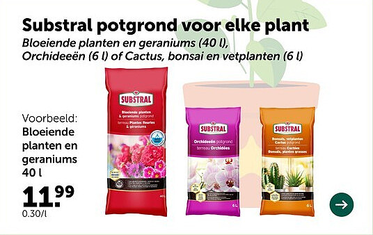 Bloeiende planten en geraniums 40 1