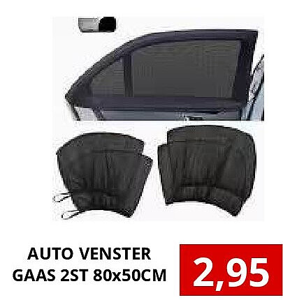 AUTO VENSTER GAAS 2ST 80x50CM