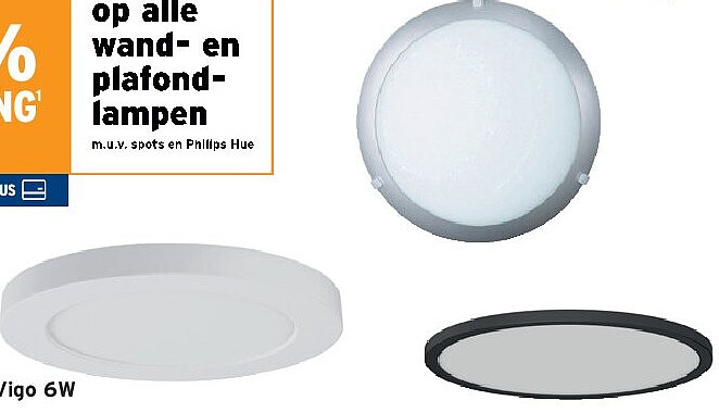 Plafondlamp Vigo 6W