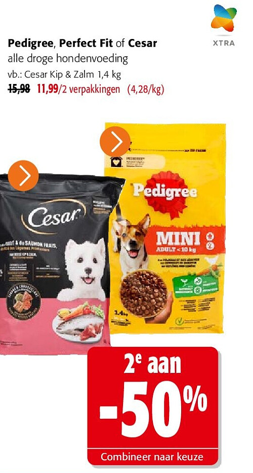 Pedigree, Perfect Fit of Cesar