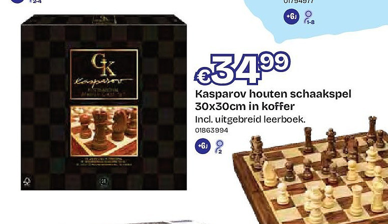 Kasparov houten schaakspel 30x30cm in koffer