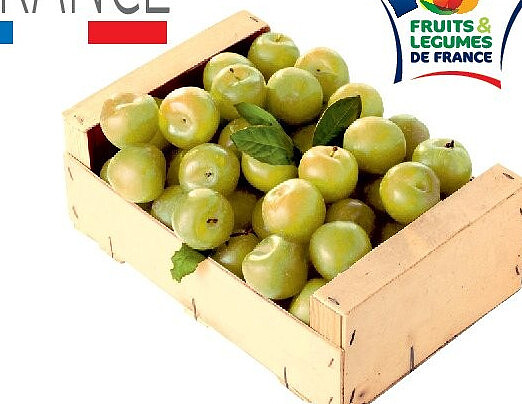 Prunes Reine Claude