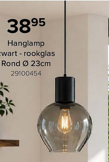 Hanglamp zwart - rookglas Rond Ø 23cm 29100454
