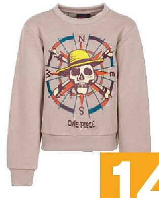 One Piece sweater jongens