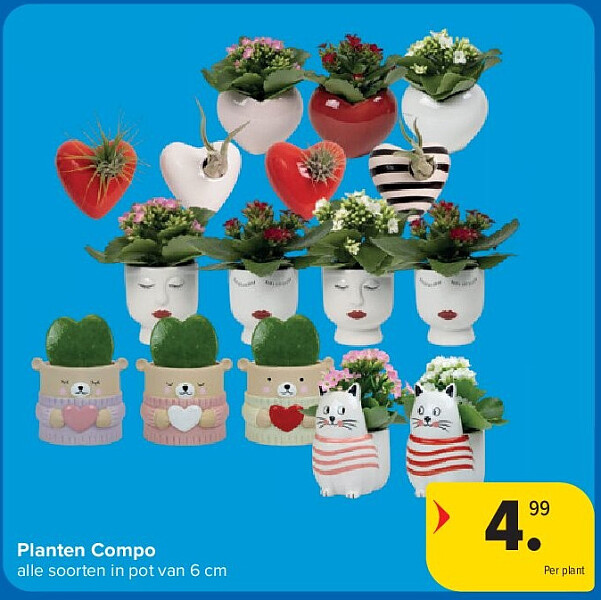 Planten Compo