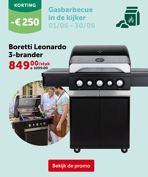Boretti Leonardo 3-brander