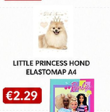LITTLE PRINCESS HOND ELASTOMAP A4
