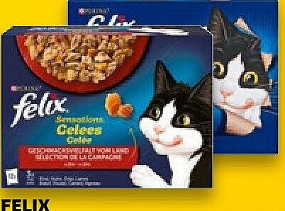 Felix Katzennahrung