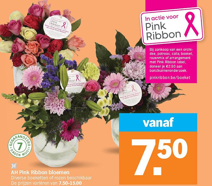 Image of Albert Heijn