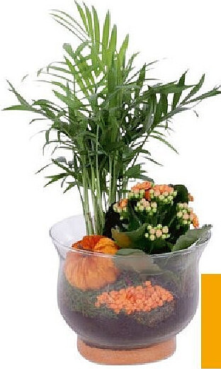Plantenstukje