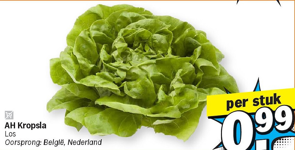 Image of Albert Heijn