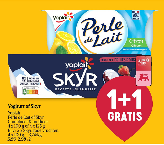 Yoghurt of Skyr