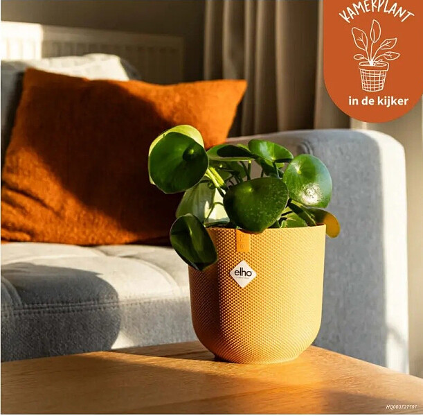 ELHO Jazz Rond plantenpot Ø 12 cm