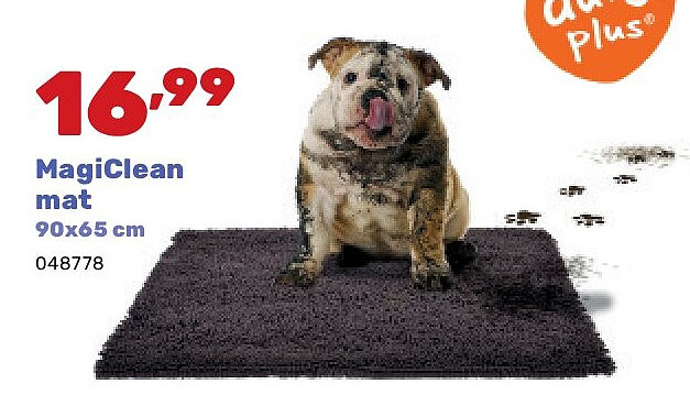 MagiClean mat 90x65 cm