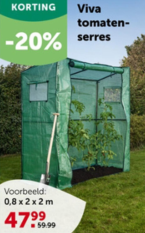 Viva tomatenserres 0,8 x 2 x 2 m