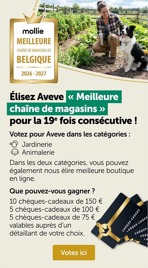 Élisez Aveve Meilleure chaîne de magasins