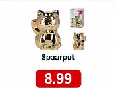 Spaarpot