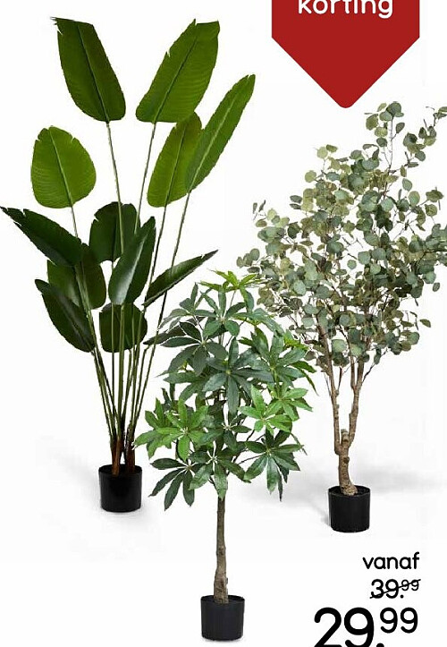 Alle grote kunstplanten