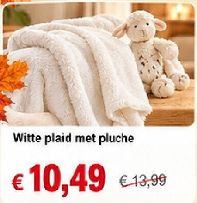 Witte plaid met pluche