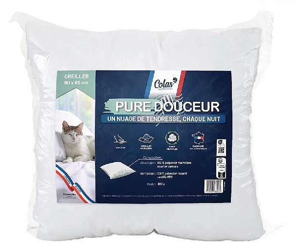 Oreiller moelleux Pure Douceur 60 x 60 cm