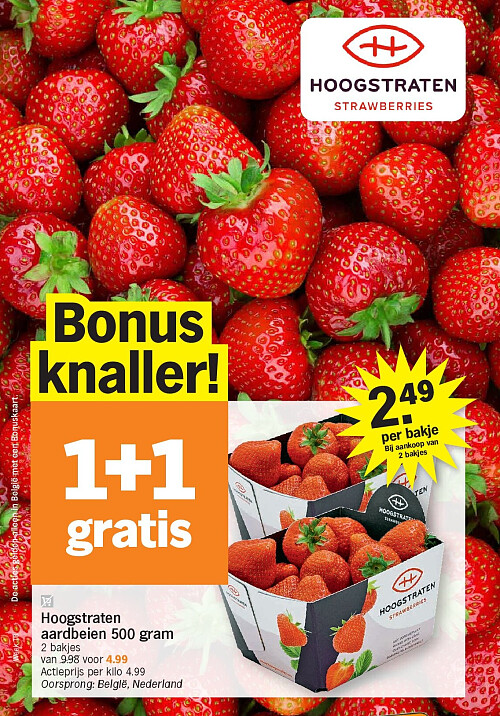 Hoogstraten aardbeien 500 gram