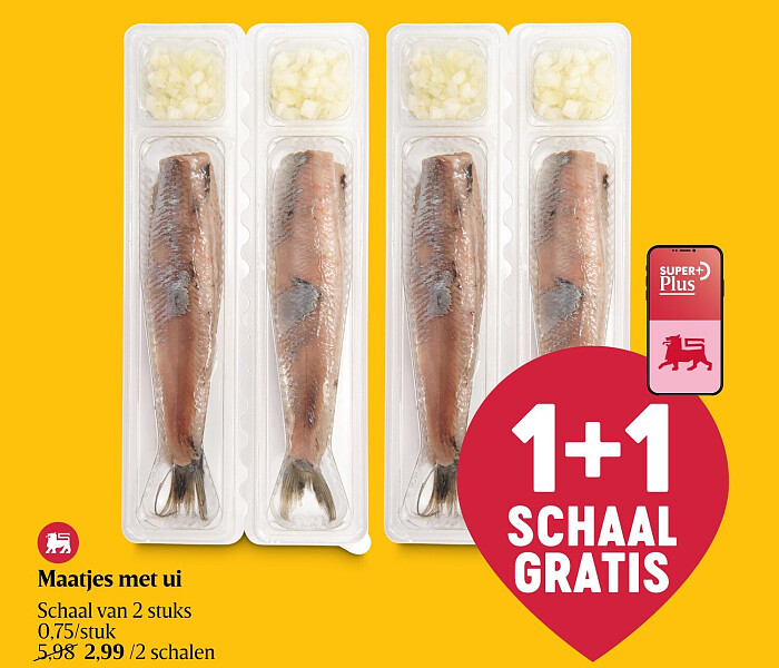 Maatjes met ui