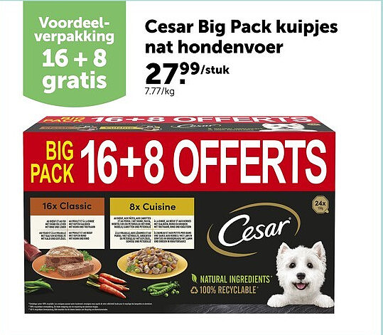 Cesar Big Pack kuipjes nat hondenvoer