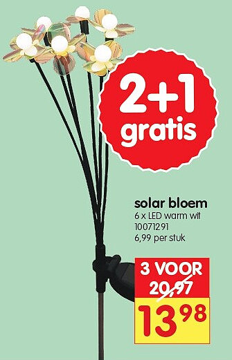 solar bloem