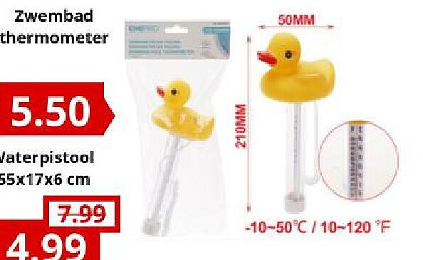 Zwembad thermometer