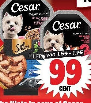 Sheba filets in saus of Cesar