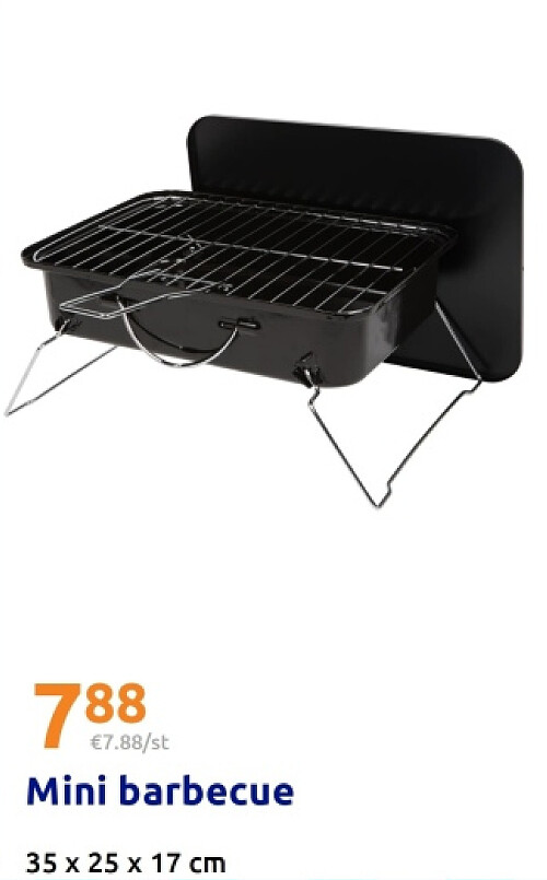 Mini barbecue