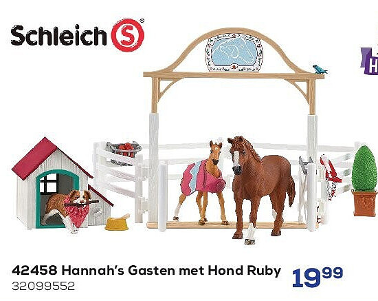 42458 Hannah’s Gasten met Hond Ruby