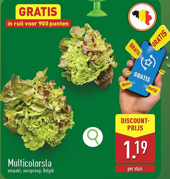 Multicolorsla