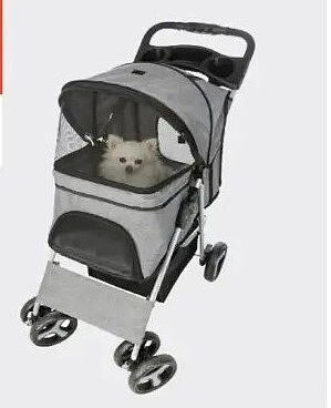 Buggy