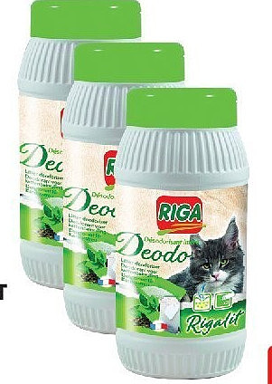 Déodolitière thé vert Riga