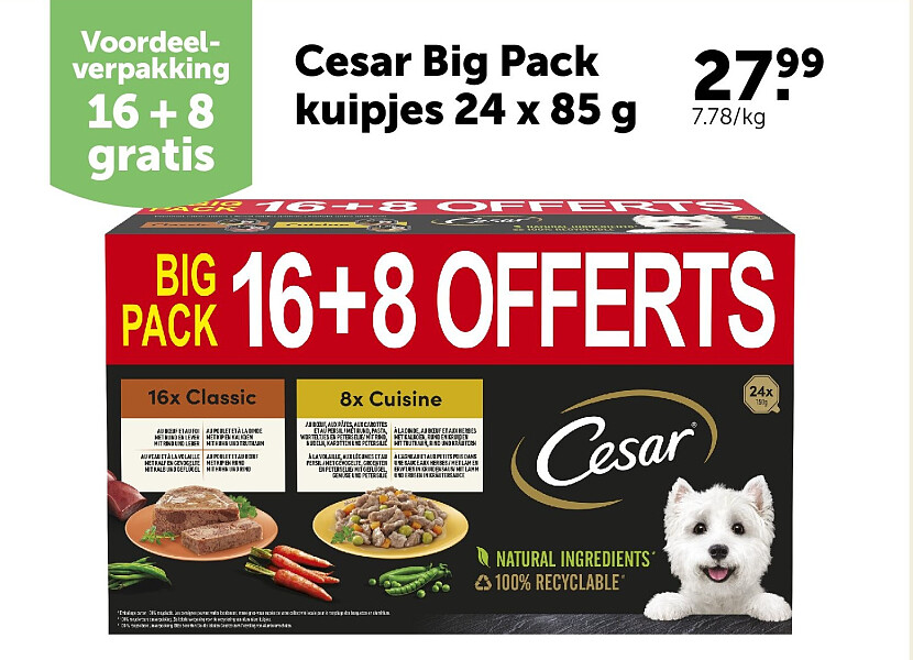 Cesar Big Pack kuipjes 24 x 85 g