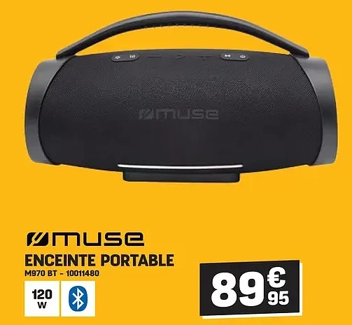 ENCEINTE PORTABLE