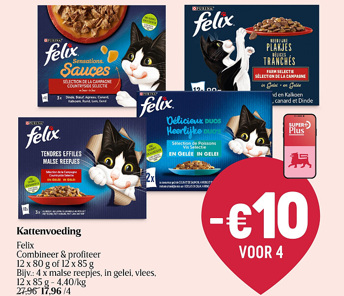 Kattenvoeding