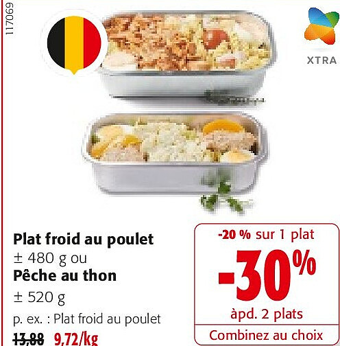 Plat froid au poulet